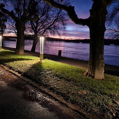 Ferienwohnungen Am Markt Rüdesheim am Rhein Exteriör bild
