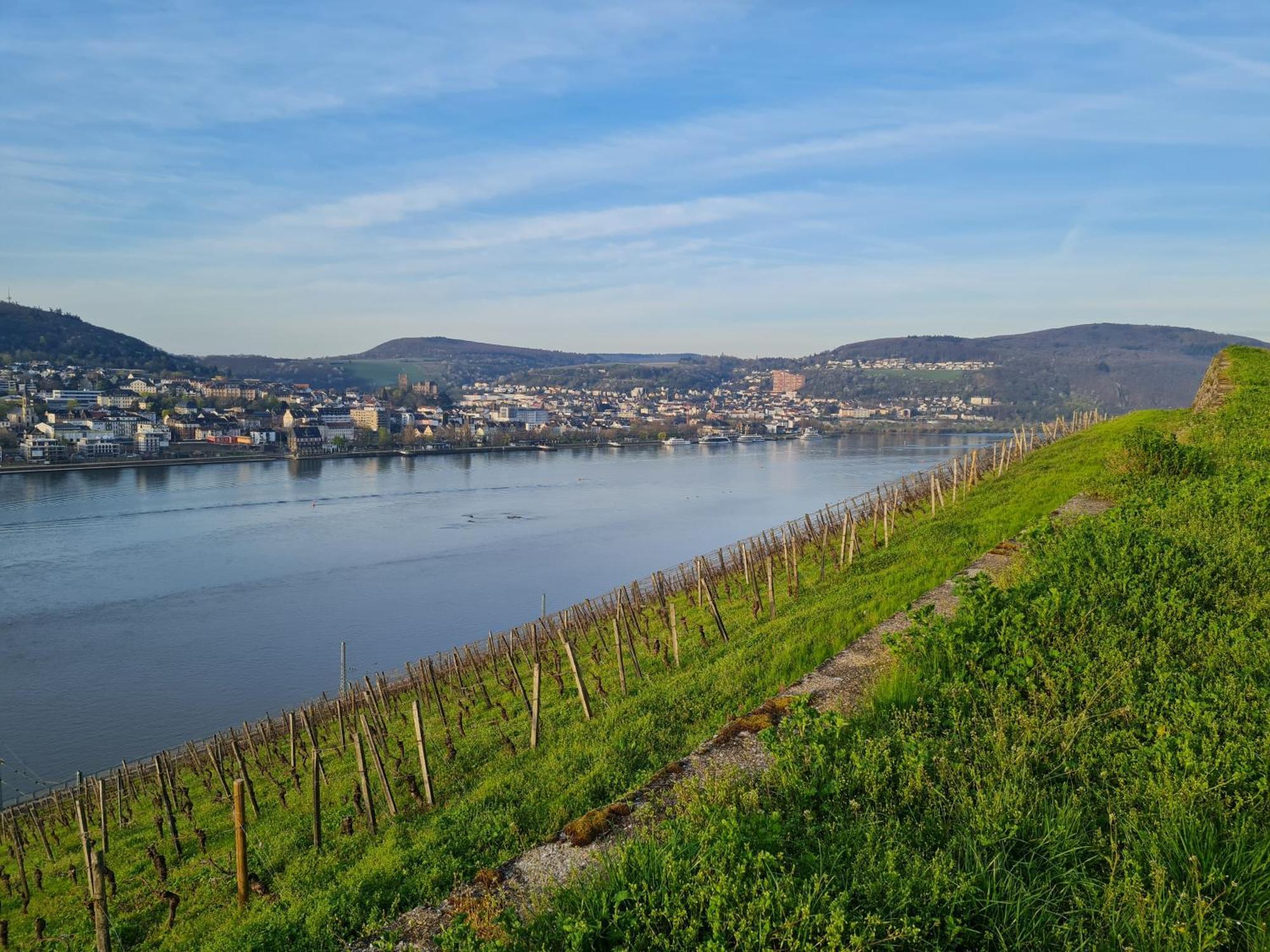 Ferienwohnungen Am Markt Rüdesheim am Rhein Exteriör bild